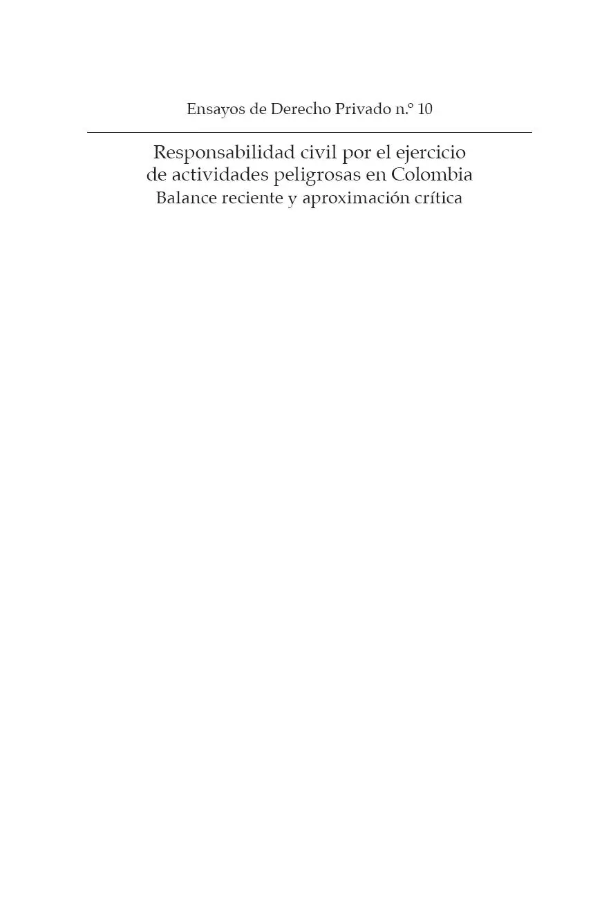 MCausland Sánchez María Cecilia Responsabilidad civil por el ejercicio de - фото 2