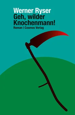 Werner Ryser Geh, wilder Knochenmann! обложка книги