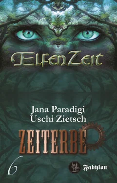 Uschi Zietsch Elfenzeit 6: Zeiterbe обложка книги