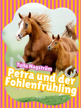 Torbjörg Hagström Petra und der Fohlenfrühling обложка книги