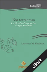 Lawrence M. Friedman - Río torrentoso