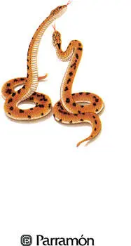 REPTILES SIN PATAS Los ofidioso serpientes son reptiles pertenecientes al orden - фото 1
