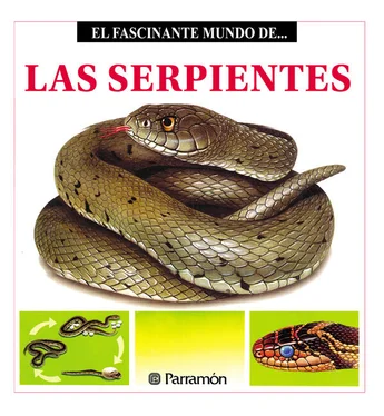 Maira Àngels Julivert Las Serpientes обложка книги