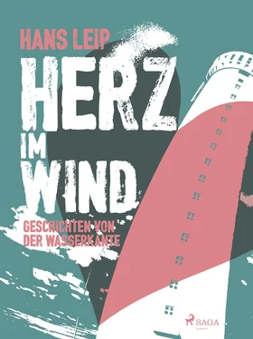Hans Leip Herz im Wind обложка книги