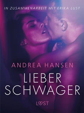 Andrea Hansen Lieber Schwager: Erika Lust-Erotik обложка книги