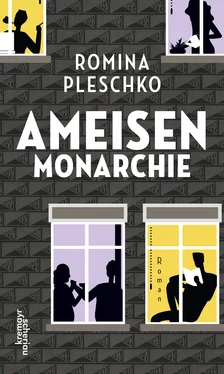 Romina Pleschko Ameisenmonarchie обложка книги