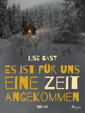 Lise Gast Es ist für uns eine Zeit angekommen обложка книги