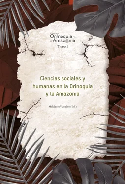 Milcíades Vizcaíno Gutiérrez Ciencias sociales y humanas en la Orinoquia y la Amazonia обложка книги
