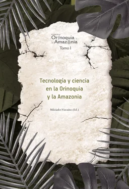 Diana Patricia Barajas Pardo Tecnología y ciencia en la Orinoquia y la Amazonía обложка книги