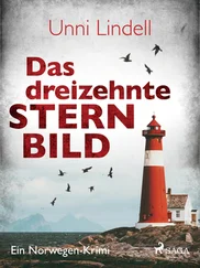 Unni Lindell - Das dreizehnte Sternbild - Ein Norwegen-Krimi