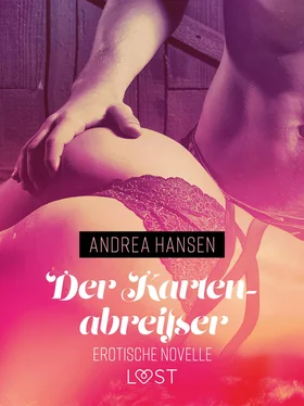 Andrea Hansen Der Kartenabreißer - Erotische Novelle обложка книги