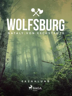 Nataly von Eschstruth Wolfsburg обложка книги