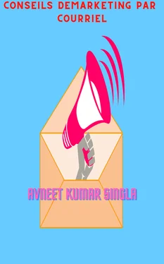 Avneet Kumar Singla Conseils De Marketing Par Courriel обложка книги