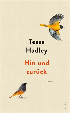 Tessa Hadley Hin und zurück обложка книги