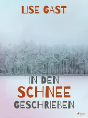 Lise Gast - In den Schnee geschrieben