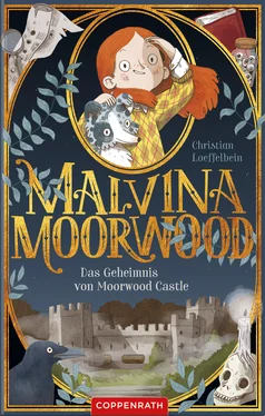 Christian Loeffelbein Malvina Moorwood (Bd. 1) обложка книги