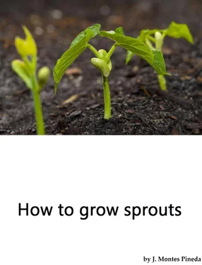 J. Montes Pineda How to grow sprouts обложка книги