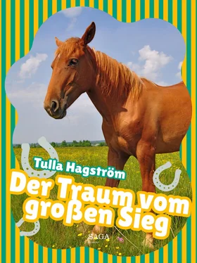 Torbjörg Hagström Der Traum vom großen Sieg обложка книги