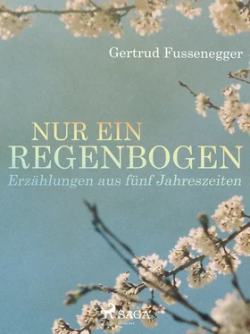 Gertrud Fussenegger Nur ein Regenbogen - Erzählungen aus fünf Jahreszeiten обложка книги