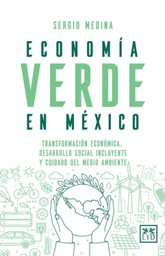 Sergio Medina Economía verde en México обложка книги