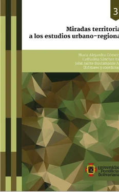 Ana María Miralles Miradas territoriales a los estudios urbano-regionales обложка книги
