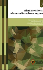 Ana María Miralles - Miradas territoriales a los estudios urbano-regionales