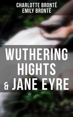 Charlotte Bronte Wuthering Hights & Jane Eyre обложка книги
