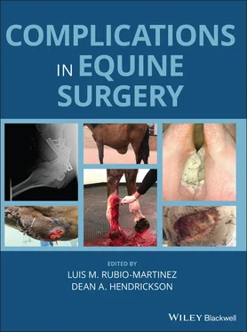 Неизвестный Автор Complications in Equine Surgery обложка книги