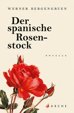 Werner Bergengruen Der spanische Rosenstock обложка книги