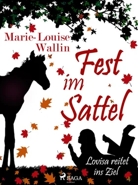 Marie-Louise Wallin Fest im Sattel - Lovisa reitet ins Ziel обложка книги
