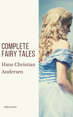 Hans Christian Complete Fairy Tales of Hans Christian Andersen обложка книги