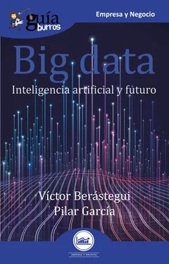 Pilar García GuíaBurros Big data обложка книги