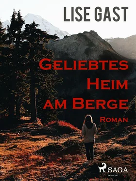 Lise Gast Geliebtes Heim am Berge обложка книги