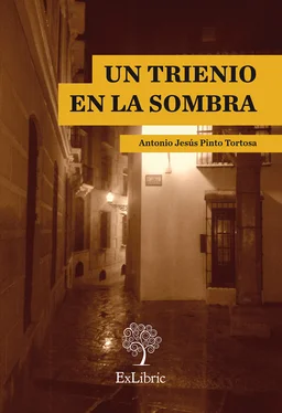 Antonio Jesús Pinto Tortosa Un trienio en la sombra обложка книги