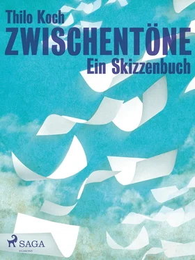 Thilo Koch Zwischentöne - Ein Skizzenbuch обложка книги