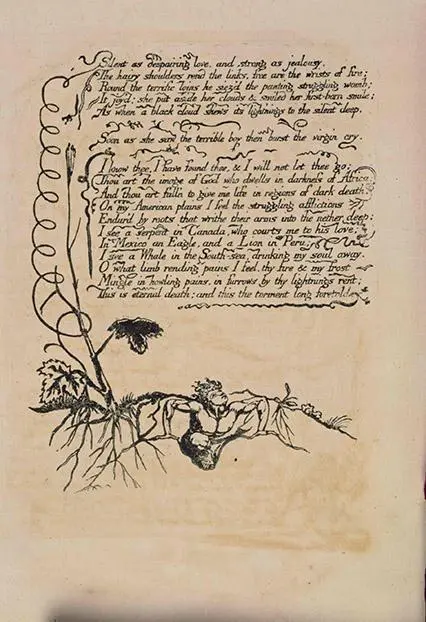 The Greatest Works of William Blake With Complete Original Illustrations - фото 96