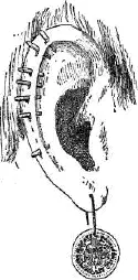 Manner of piercing the ear Ear rings are not generally worn by the Seminole - фото 89
