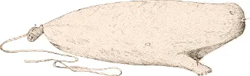Fig 426 Avautang or sealskin float National Museum Washington 30009 - фото 142