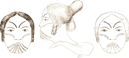 Fig 515 Manner of tattooing face and wearing hair The women are in the habit - фото 235