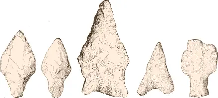 Fig 449 Flint arrowheads from old graves National Museum Washington c - фото 165