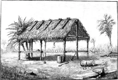 SEMINOLE DWELLING The Seminoles house is open on all sides and without rooms - фото 92