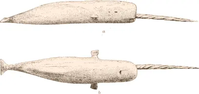 Carving representing narwhal In the possession of Capt John O Spicer - фото 281