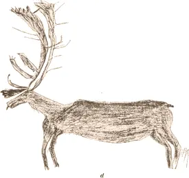d f g Drawn by Maleki a native o - фото 272