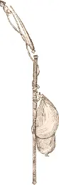 Fig 428 Agdliaq or spear for small seals From Parry II p 550 Fig 429 - фото 144