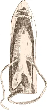 Fig 421 Tokang or harpoon point in sheath In the possession of Captain John - фото 137