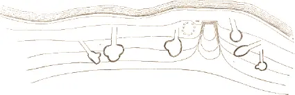 Fig 501 Plan of group of stone houses in Pangnirtung Cumberland Sound In - фото 220