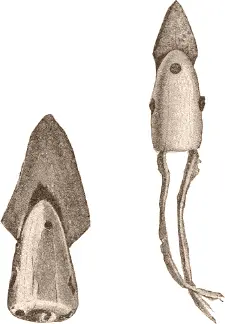 Fig 430 Spear heads National Museum Washington a 34076 b 34068 - фото 146