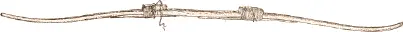 Fig 441 Bow of antlers with central part cut off straight from Pelly Bay - фото 157