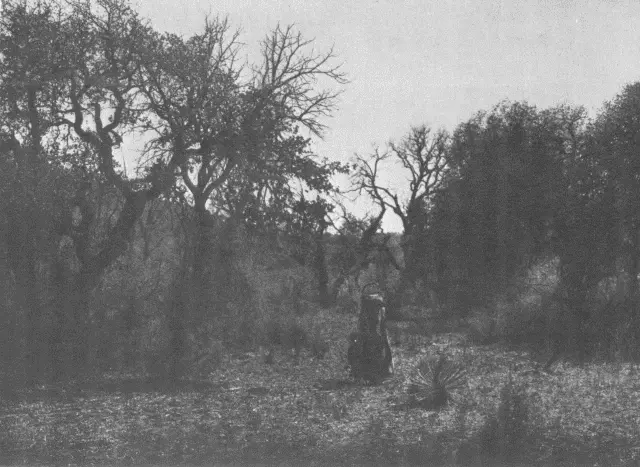 Among the Oaks Apache The earth was smooth flat and barren so Kútĕrastan - фото 21