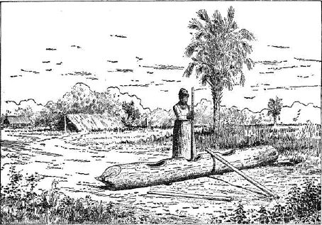 Koonti log The Koonti log so called was the trunk of a large pine tree in - фото 95